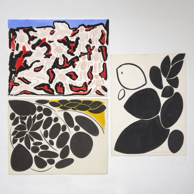 Thomas Barnett - Abstract Organic Compositions