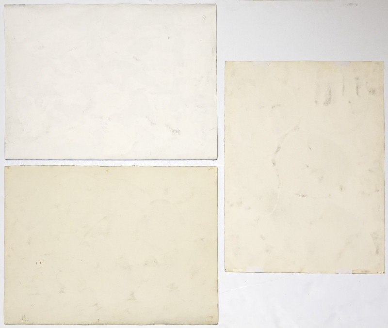 Thomas Barnett - Abstract Organic Compositions