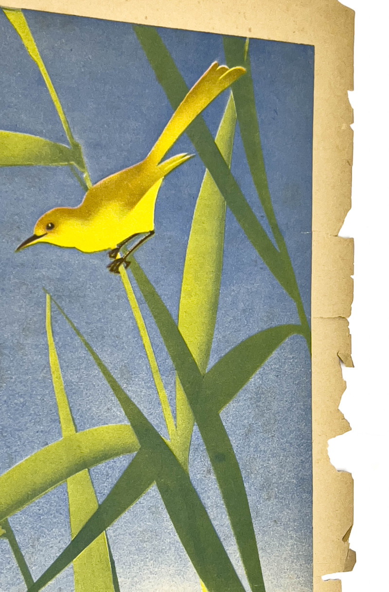 Travel Posters, Group of 3