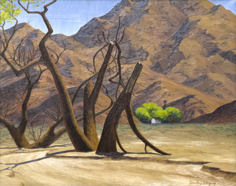 Dorothy Deyrup - Mojave Desert