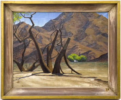 Dorothy Deyrup - Mojave Desert