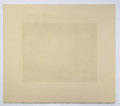 William Behnken - Bronx Icon