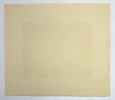 William Behnken - Opening Soon