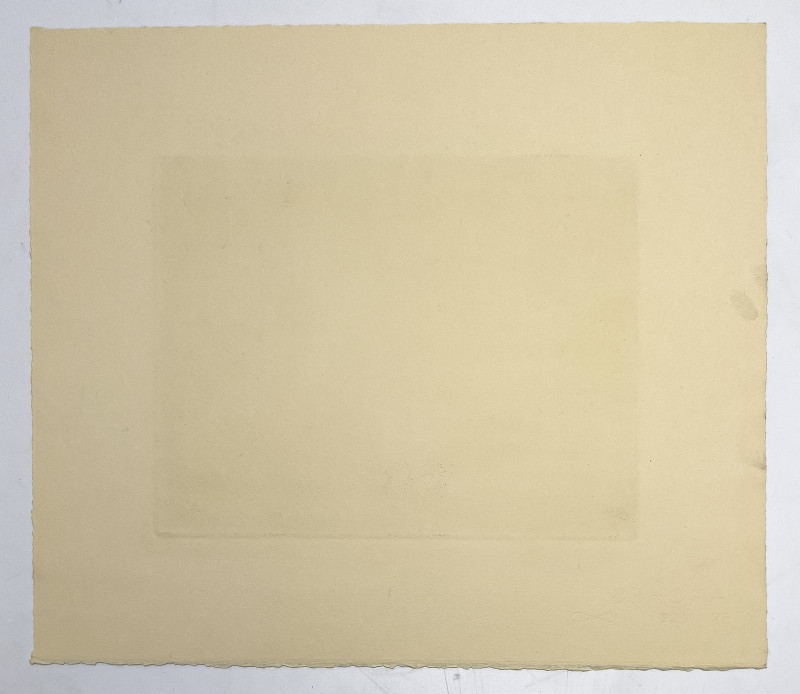 William Behnken - Opening Soon