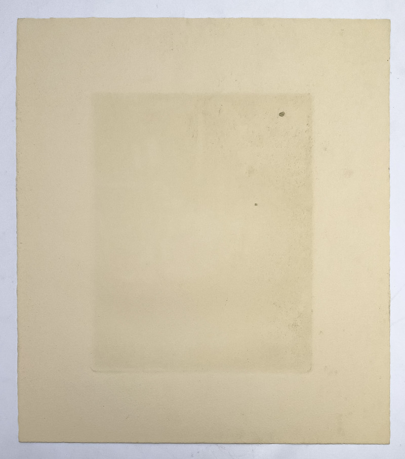 William Behnken  - Radiance