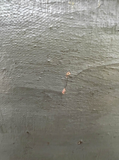 Unknown Artist - Beach Side Scene