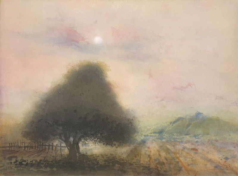 Kaiko Moti - Arbre Enchante