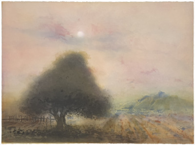 Kaiko Moti - Arbre Enchante