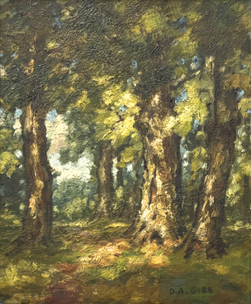 David A. Gibb - Oak Trees in Summer