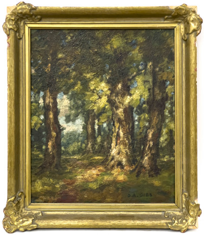 David A. Gibb - Oak Trees in Summer