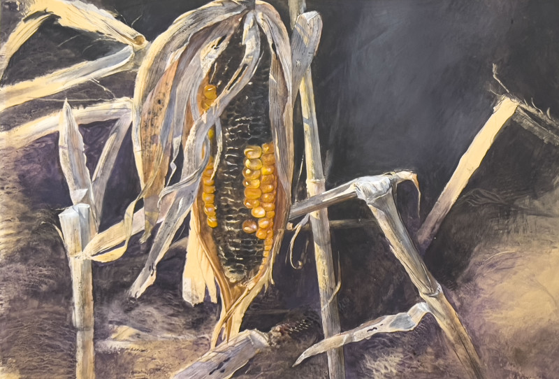 William Hoyt - Corn Stalks