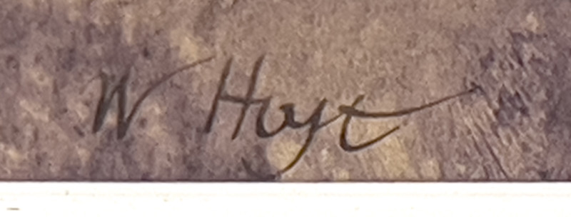 William Hoyt - Corn Stalks