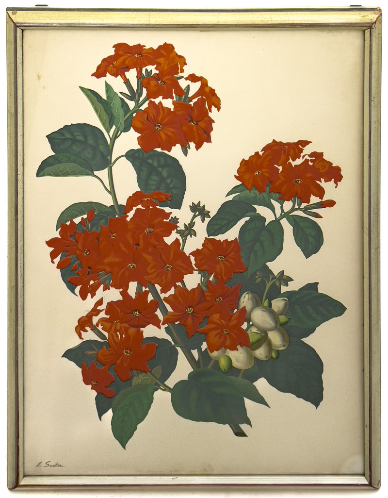 LLoyd Sexton, Jr. - Red Kou