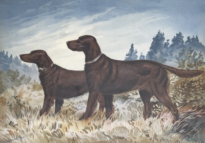 Animal Prints, Group of 4