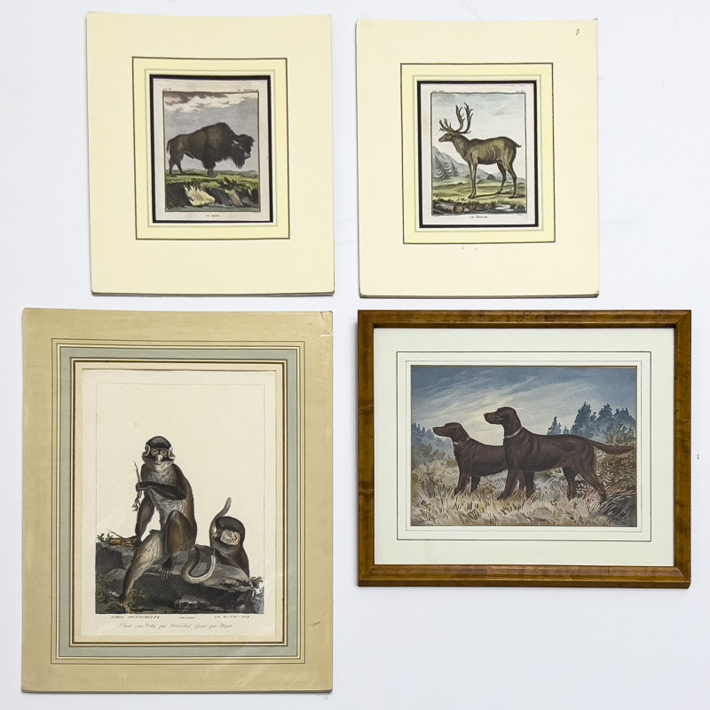 Animal Prints, Group of 4