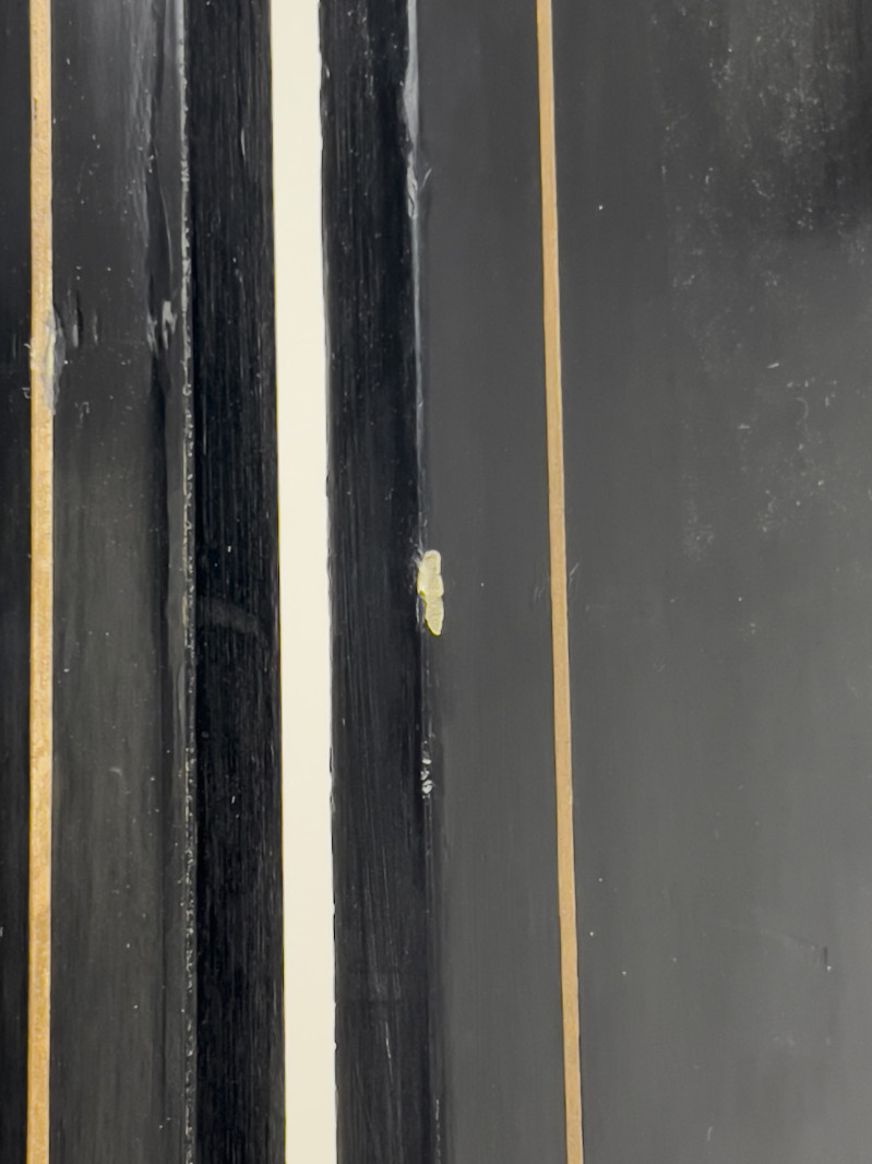 Eight Panel Asian Folding Lacquer Screen