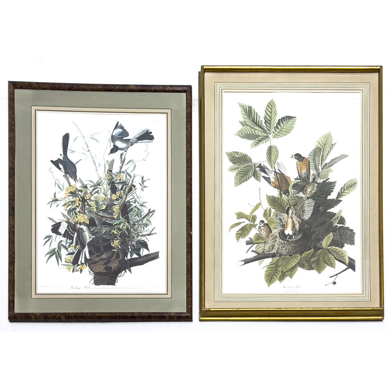 John James Audubon - American Robin / Mocking Bird, 2 Works
