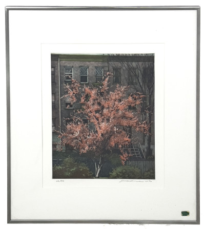 Frederick Mershimer - Untitled (Tree in Bloom)