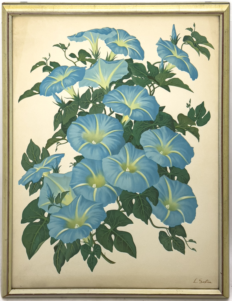 LLoyd Sexton, Jr. - Morning Glory