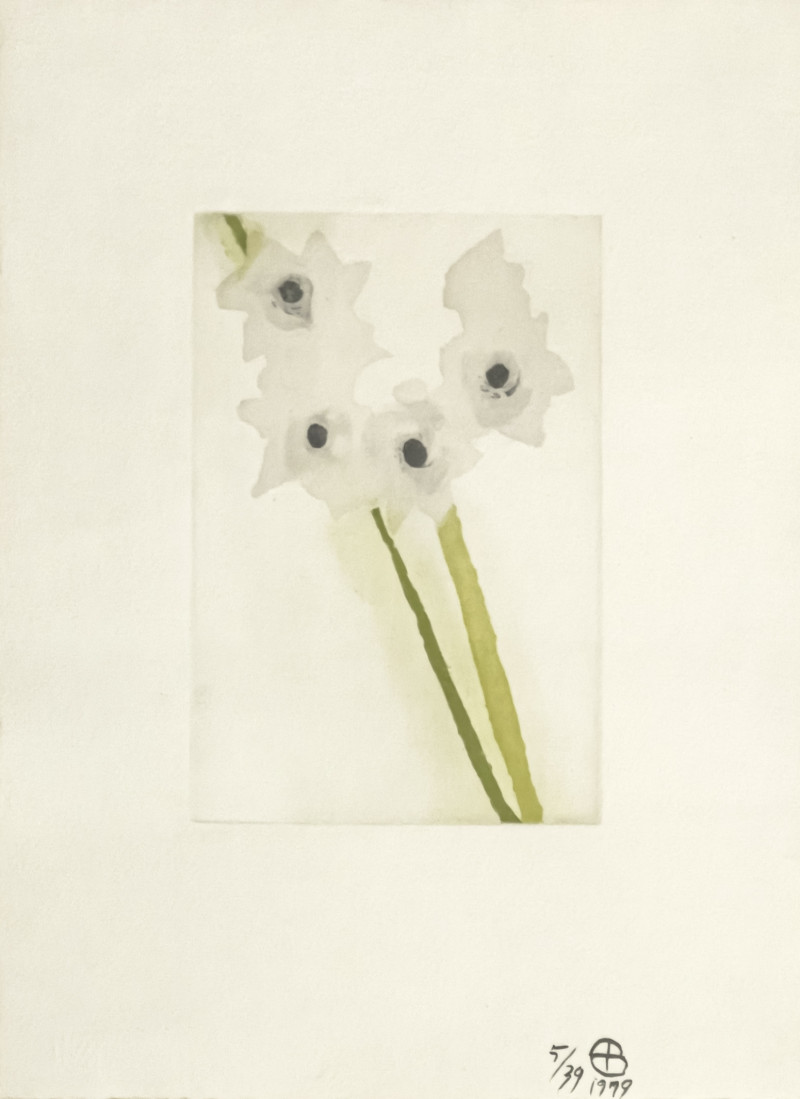 Ed Baynard - Snow Flowers