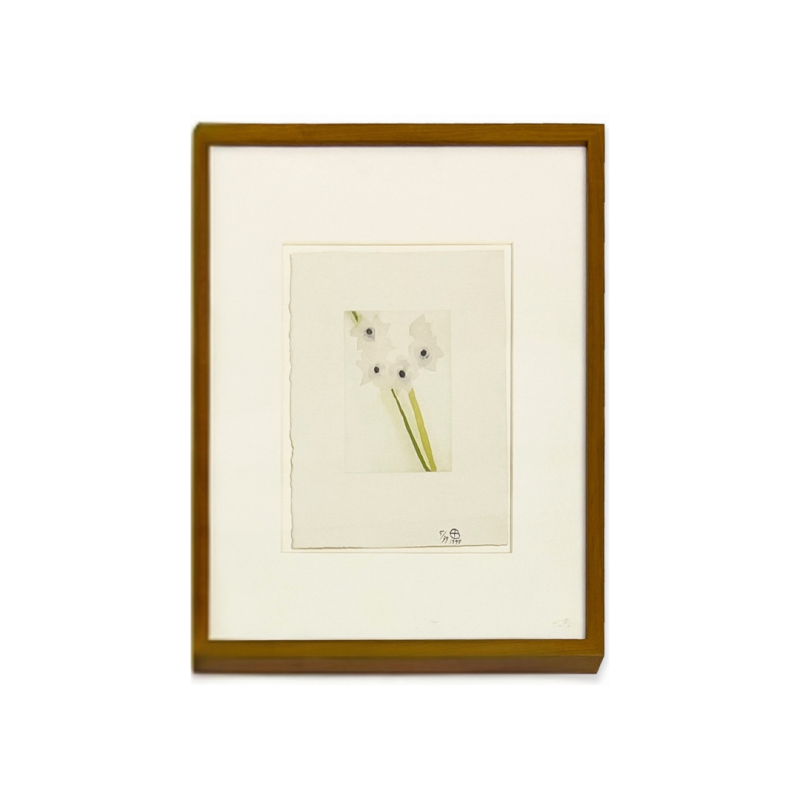 Ed Baynard - Snow Flowers