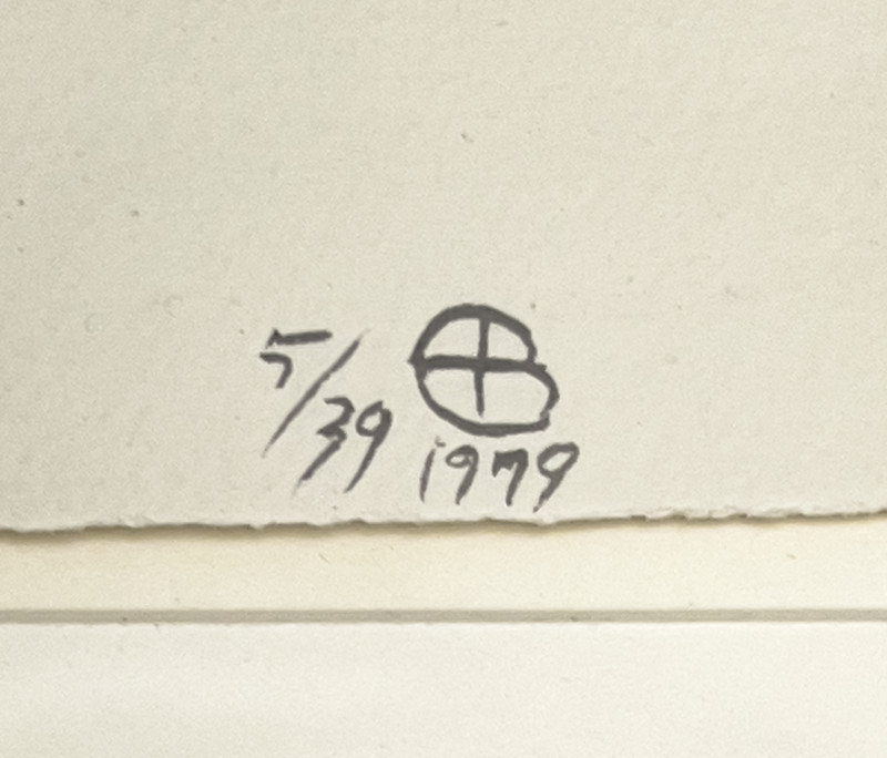 Ed Baynard - Snow Flowers