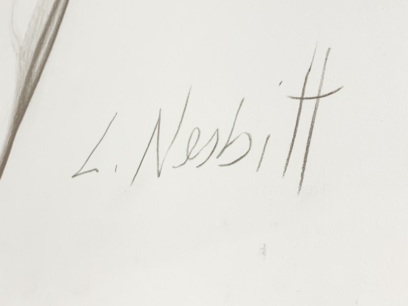 Lowell Nesbitt - Untitled (Male Nude)