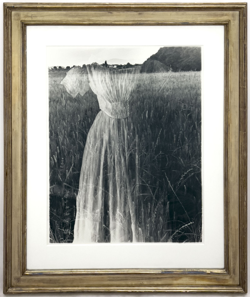 George Woodman - Untitled (Field Dress)