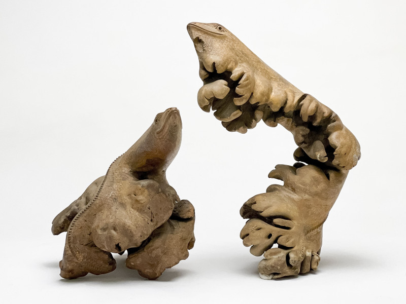 Rootwood or Burl Sculptures Carved with Lizard Form, 2 Works