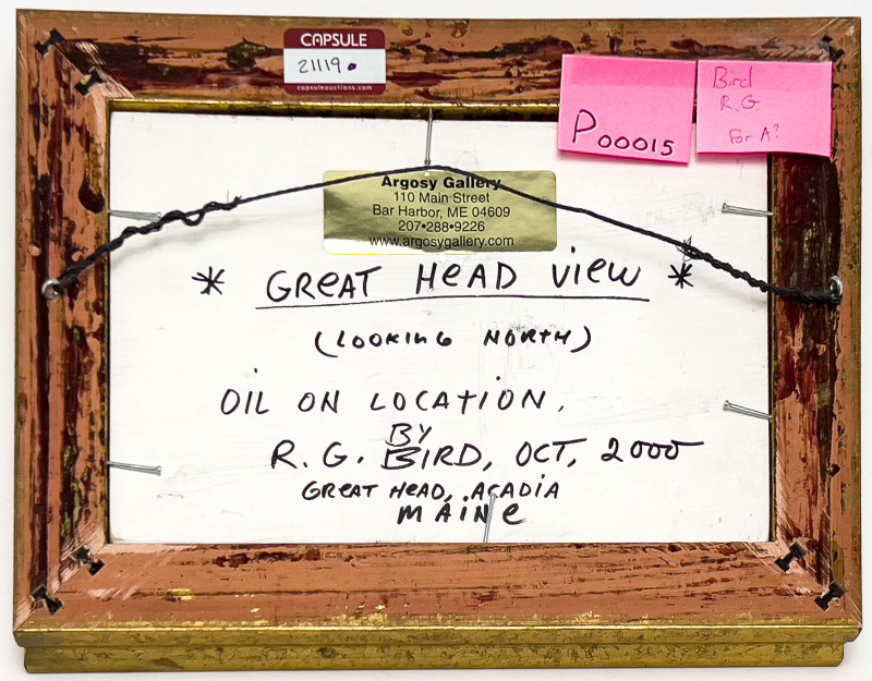 Robert Bird - Great Head View (Looking North)