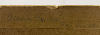 Edward Theodore Compton - Osteria Bruzzi in Valfurva