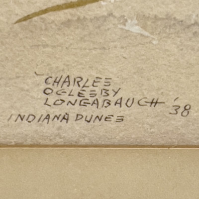 Charles Longabaugh - From a High Dune