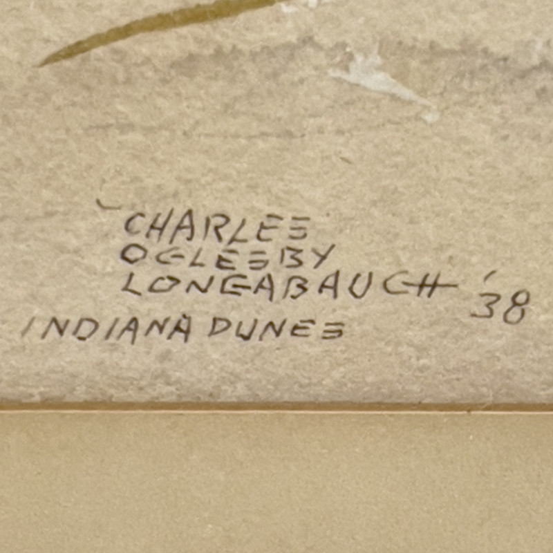 Charles Longabaugh - From a High Dune