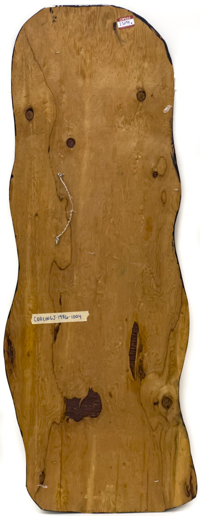 Janet Cooling - Untitled (Three Heads)