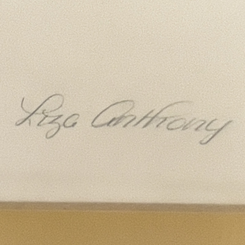 Lisa Anthony - Eskimo and The Sun