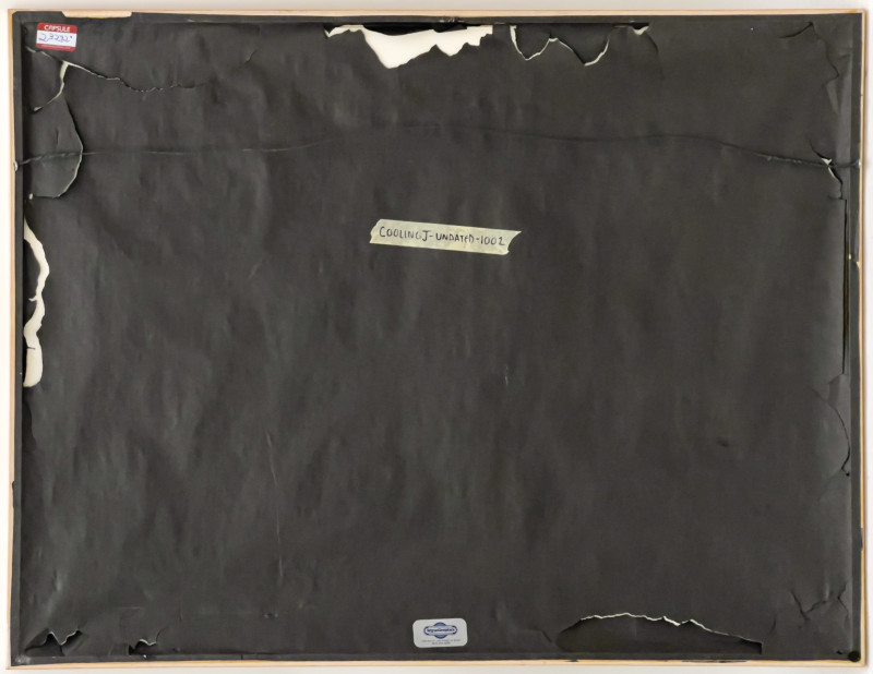 Janet Cooling - Untitled (Leopard in Landscape)