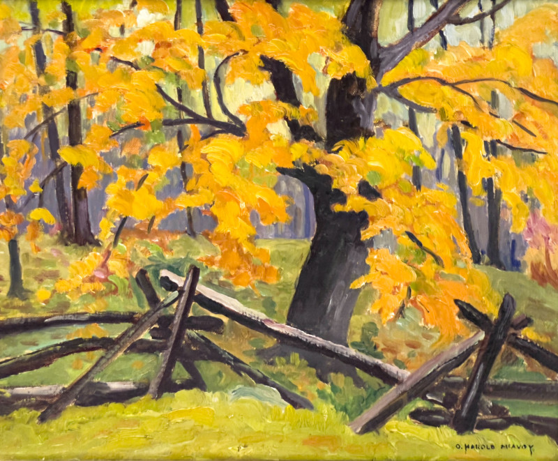 Harold McAvoy - Edge of the Woods