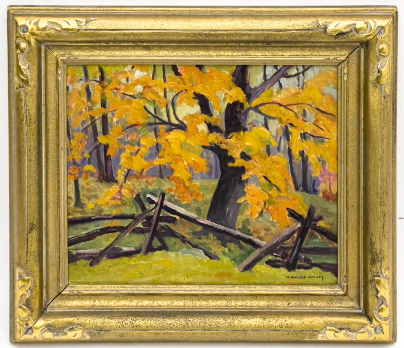 Harold McAvoy - Edge of the Woods