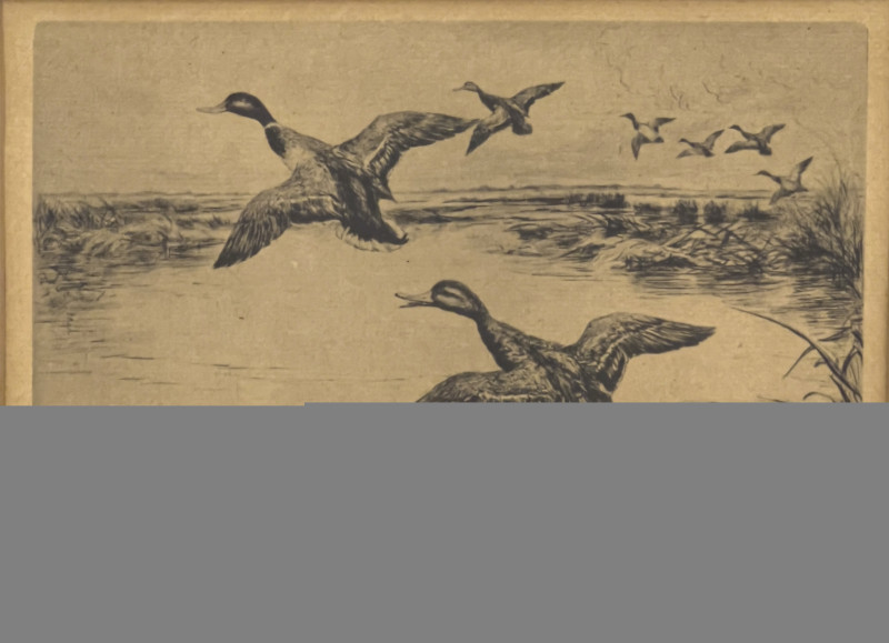 Ronald Clark - Mallards