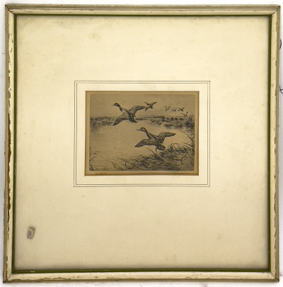 Ronald Clark - Mallards