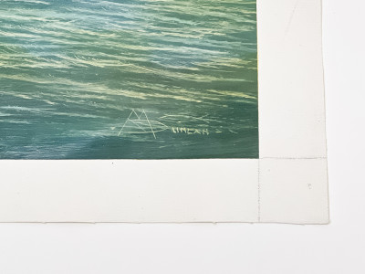 Scott Duncan - Sloops with Spinnakers