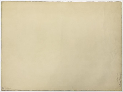 Nancy Graves - Lunar Landscape I