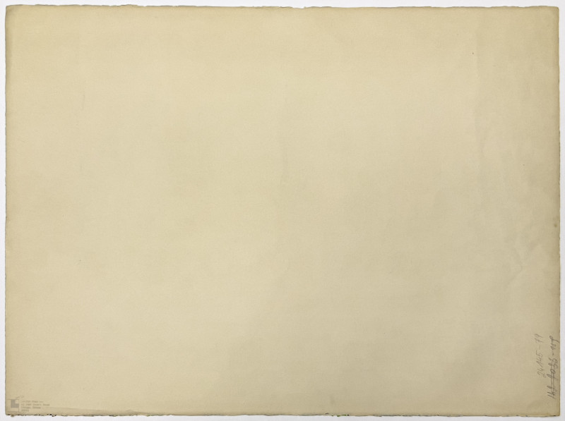 Nancy Graves - Lunar Landscape I