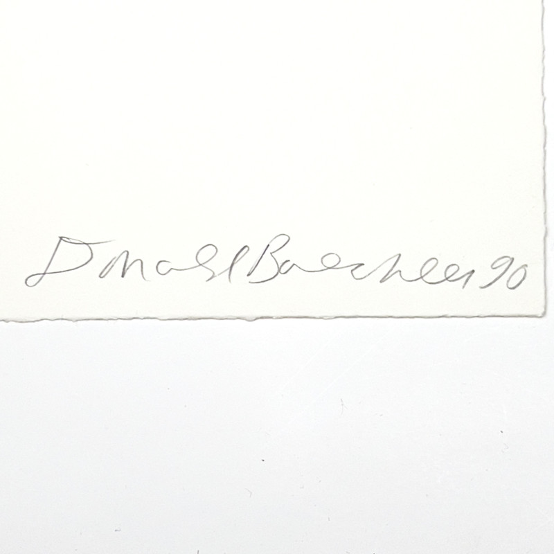 Donald Baechler - Untitled (Ducks)