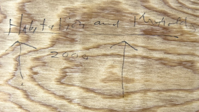 Kristy Deetz - Habitations and Thresholds