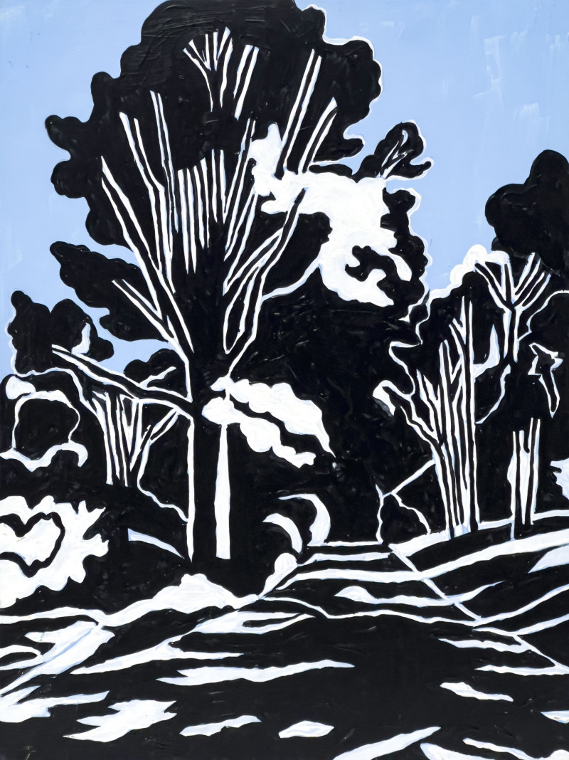 Janet Cooling - Untitled (Forest Path)