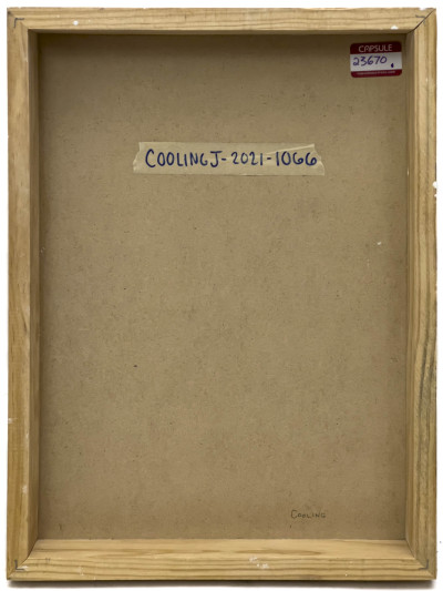 Janet Cooling - Untitled (Forest Path)