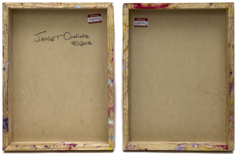 Janet Cooling - Untitled (Geometric Landscapes), 2 Works