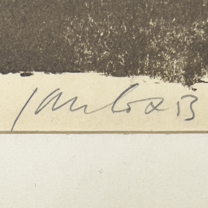 Jan Cox - Untitled (Horse)