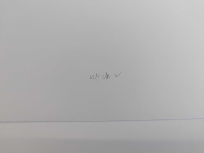 Aaron Siskind - Wickesberg